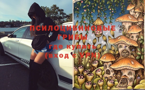 ПСИЛОЦИБИНОВЫЕ ГРИБЫ Переславль-Залесский