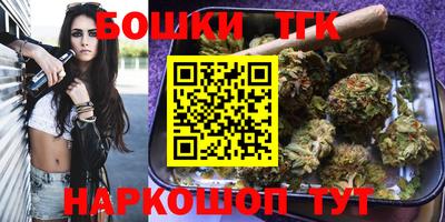 spice Гатчина