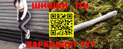 spice Гатчина