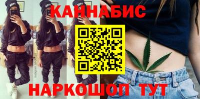 spice Гатчина