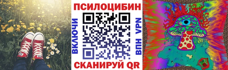omg как зайти  Изобильный  Псилоцибиновые грибы Psilocybine cubensis 