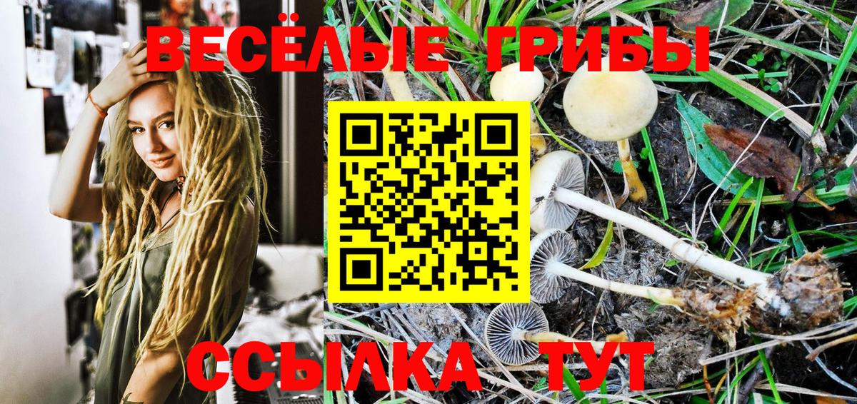 Галлюциногенные грибы Psilocybine cubensis Изобильный